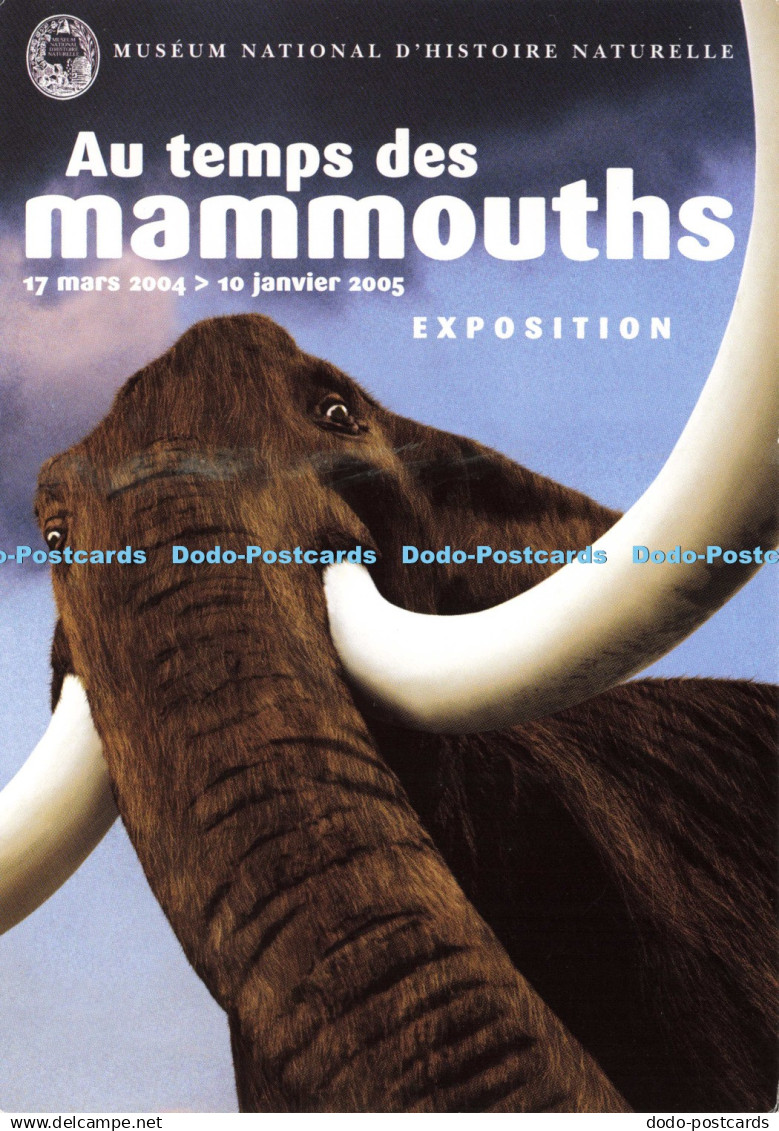 D214782 Au Temps des Mammouths Expositions Museum National D Histoire Naturelle
