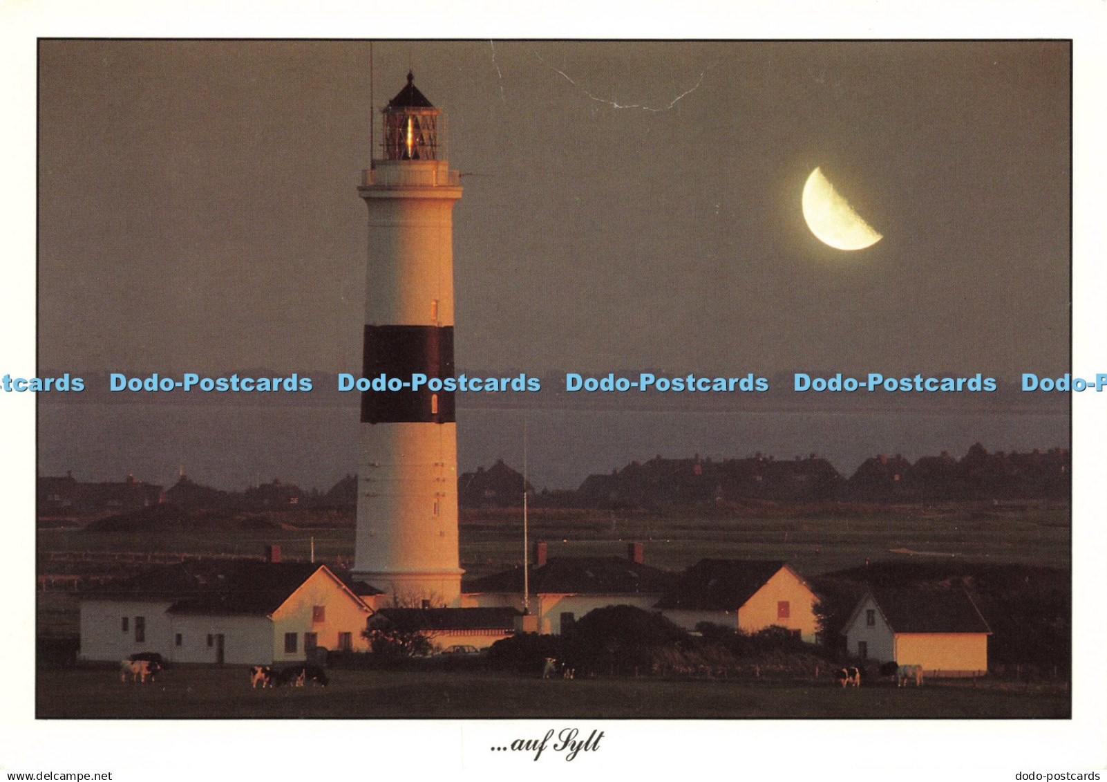 D215143 Sylter Impressionen Eiland Hans Jessel