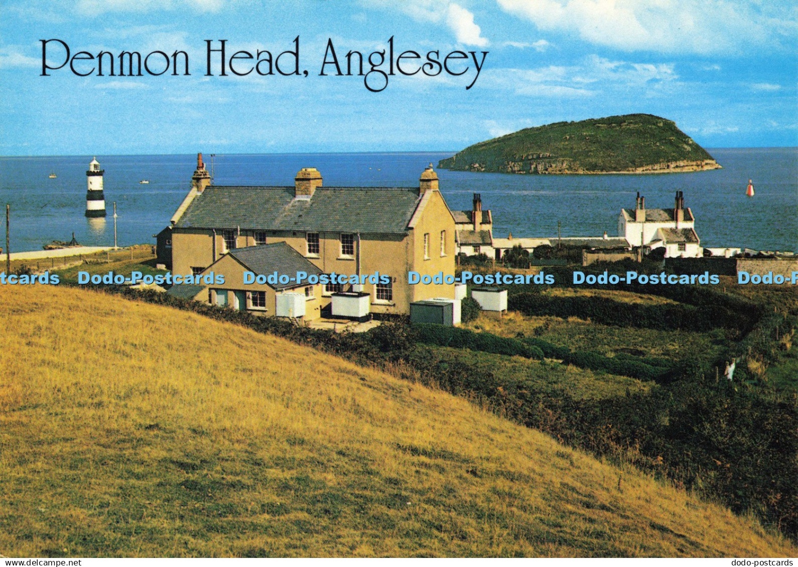 D216628 Anglesey Penmon Head J Salmon