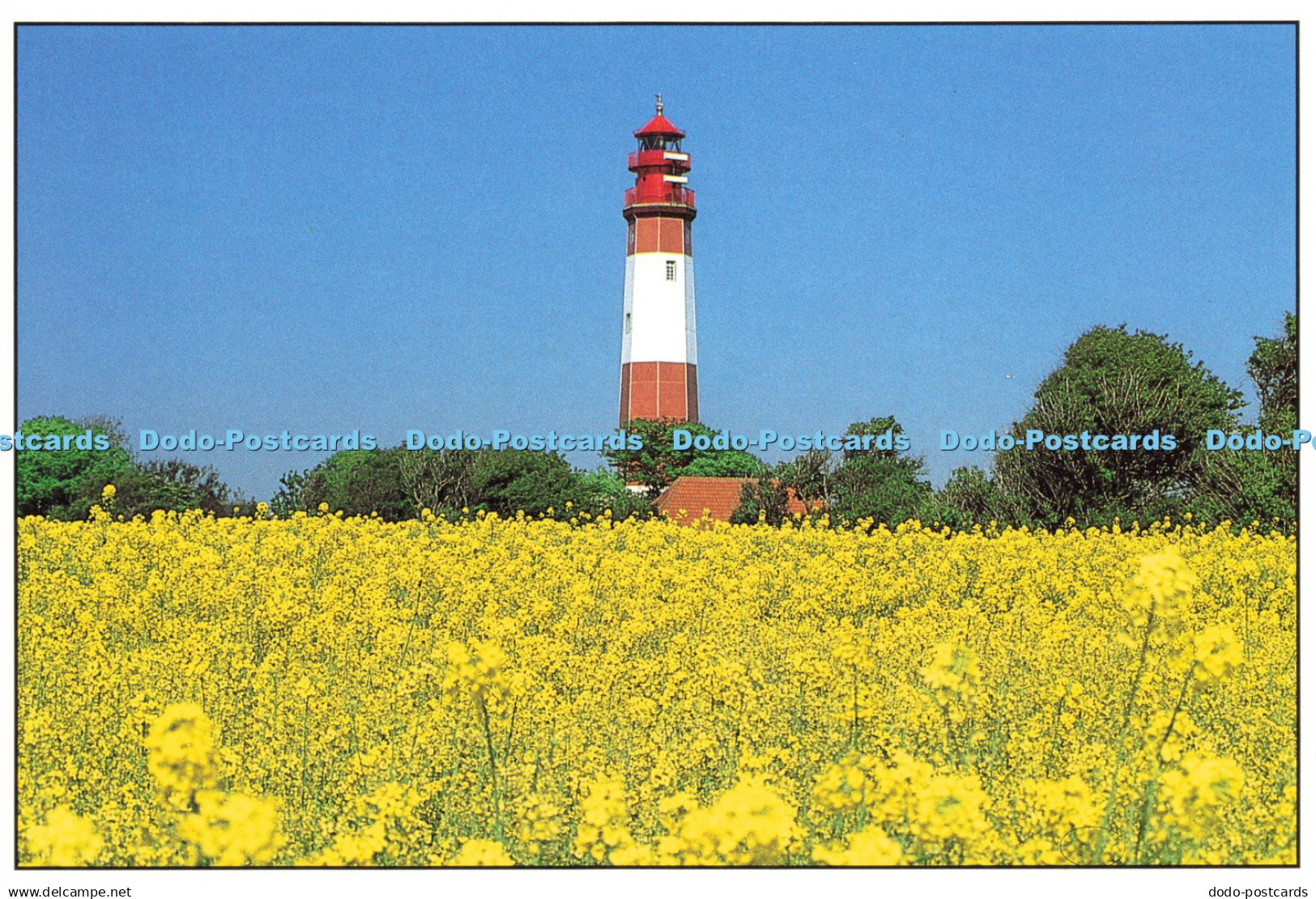 D216684 Leuchtturme Flugge Fehmarn Eiland Von Ottmar Heinze