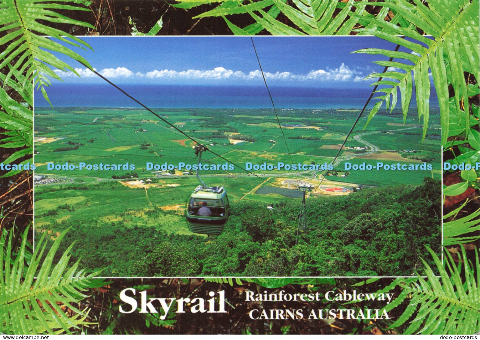 D217627 Skyrail Rainforest Cableway Cairns Australia Proudly Murray Views