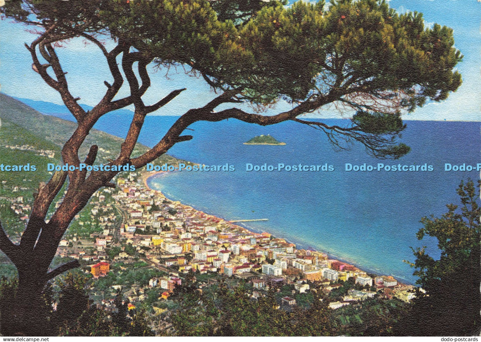 D217701 Alassio The Flower Riviera