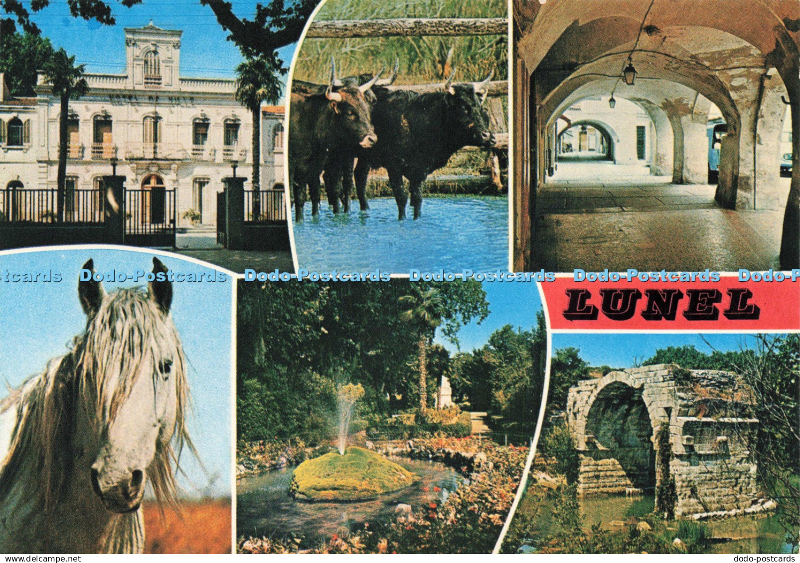 D217868 Lunel Herault S L Rotalcolor Multi View