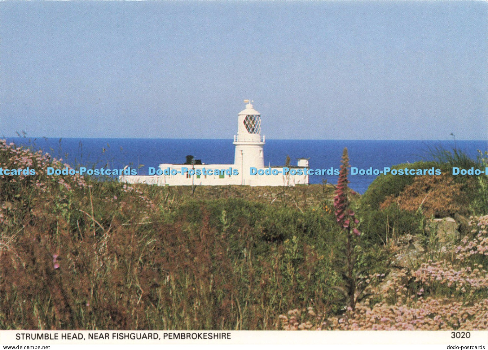 D221335 Pembrokeshire Strumble Head near Fishguard Pembrokeshire Eye