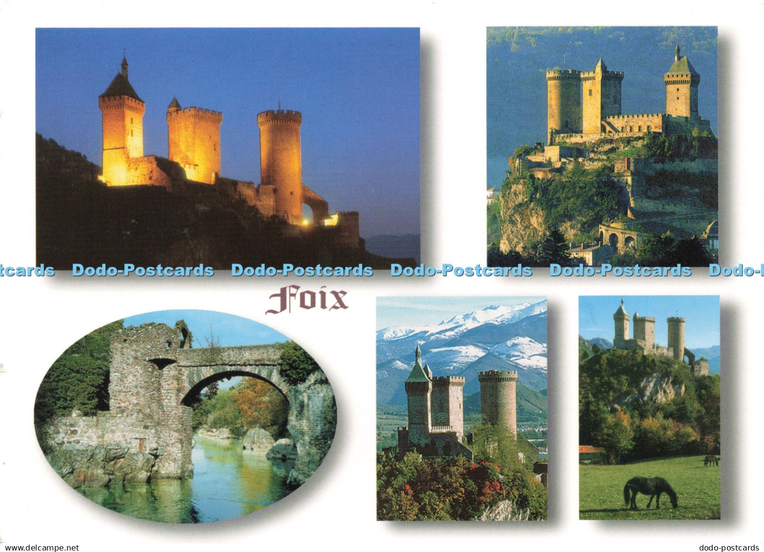 D221506 Foix Divers Aspects du Chateau Fort des Comtes de Foix Art Larey Multi V