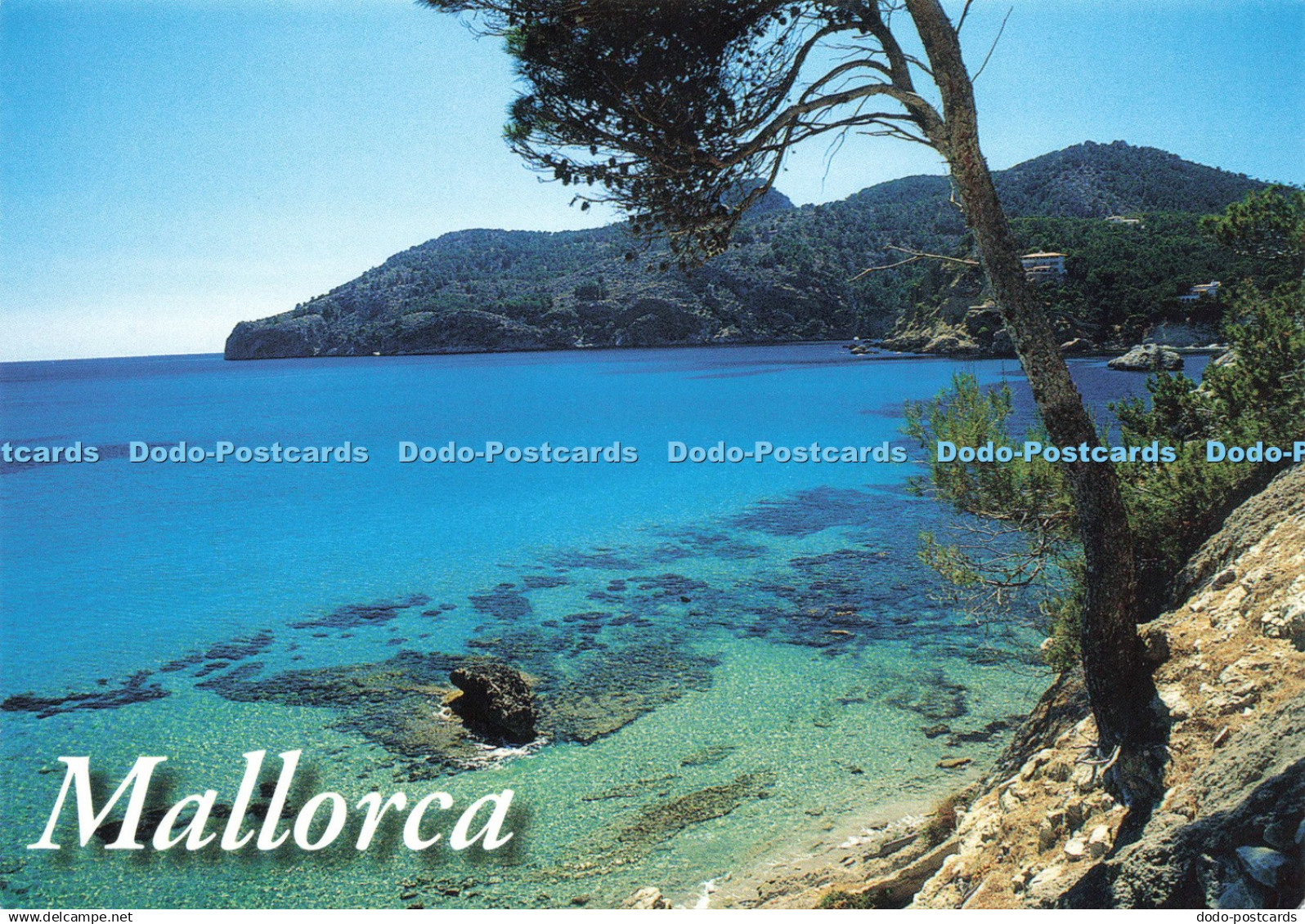 D221901 Mallorca Costa de Mallorca S L