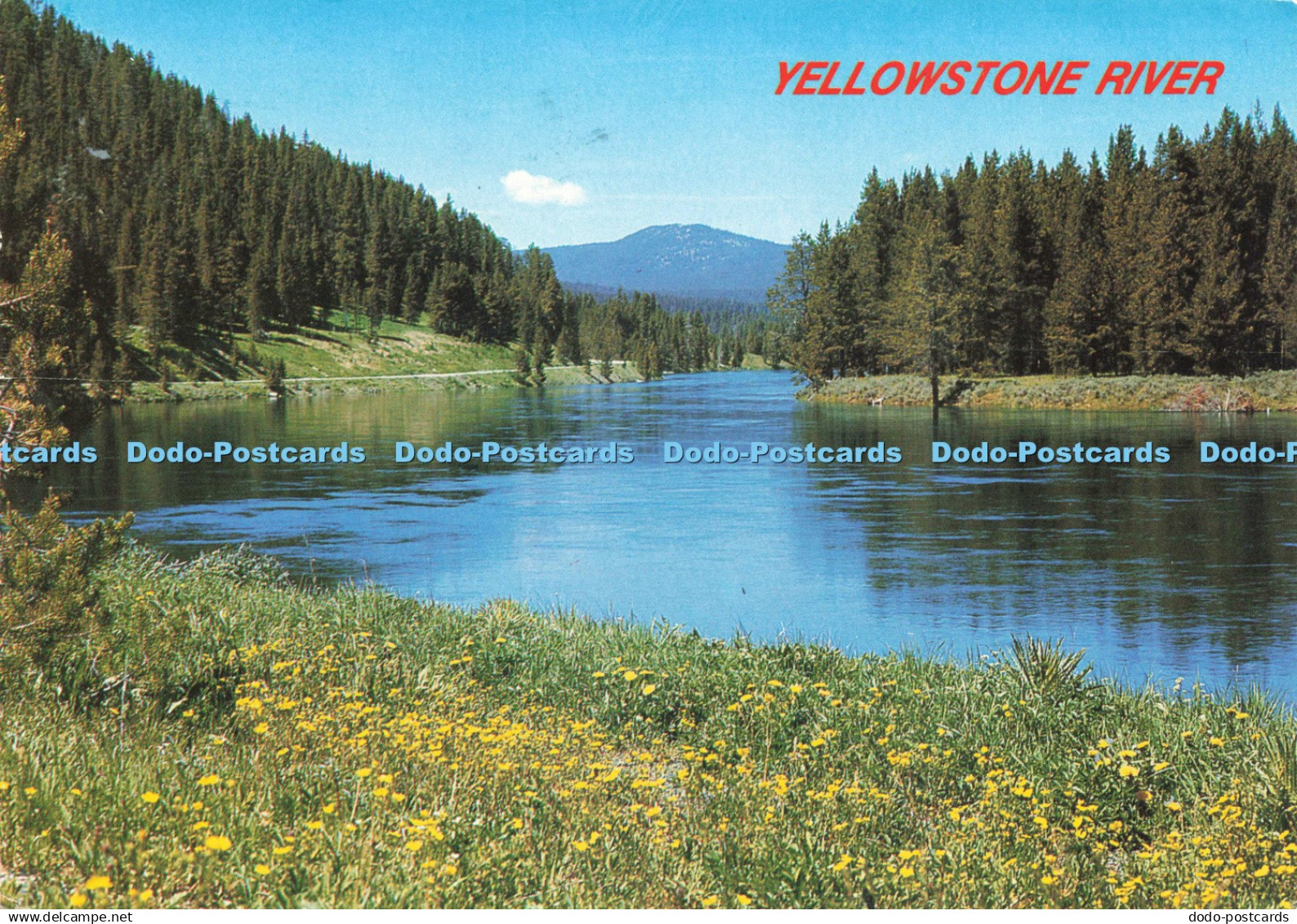 D222081 Wyoming Yellowstone National Park Yellowstone River Italcards Abi Garama