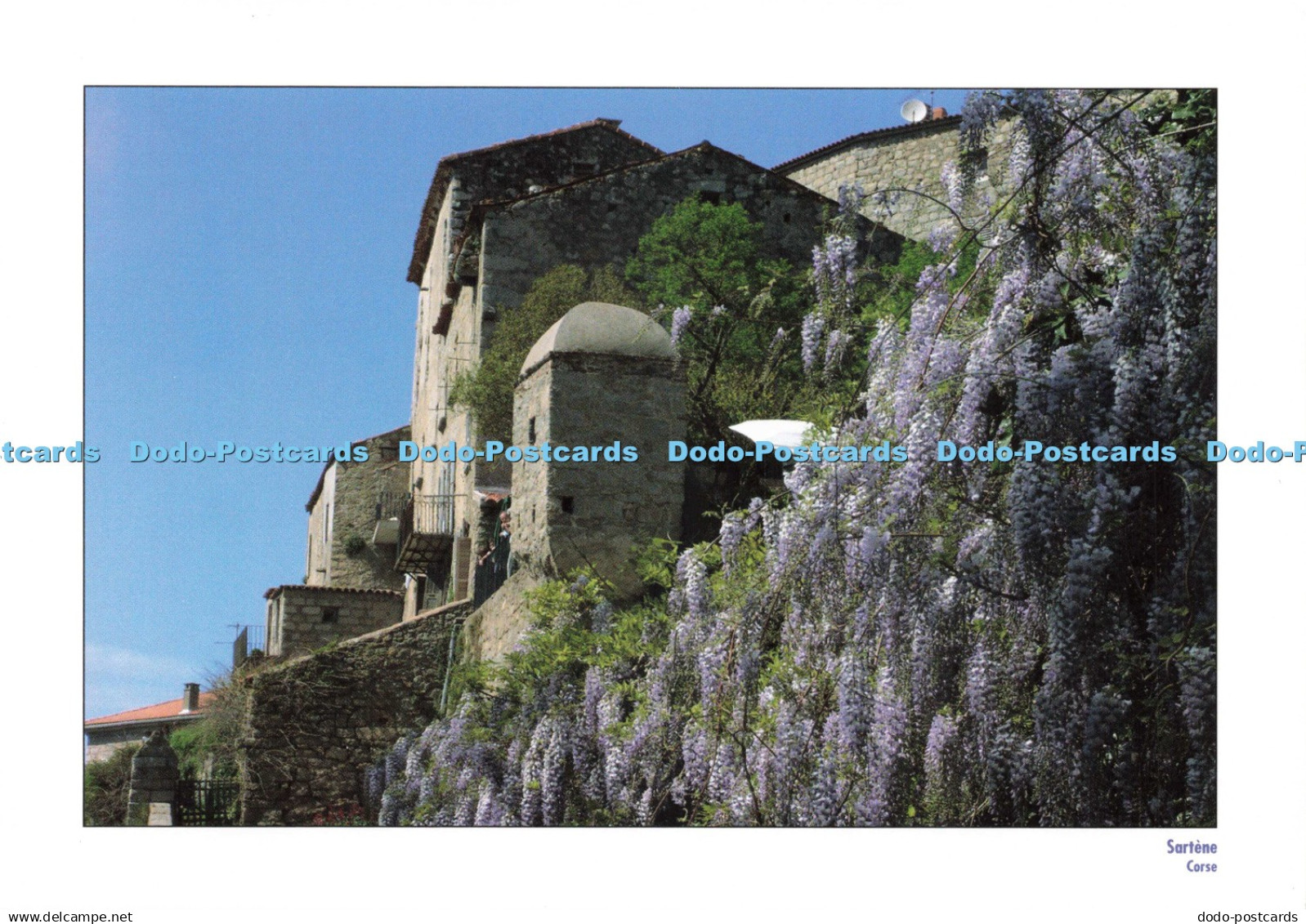 D223168 Corse Sartene William Moureaux