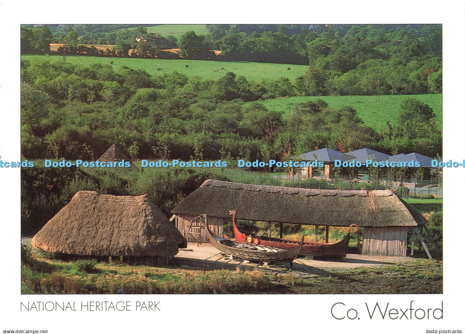 D223964 Co Wexford National Heritage Park Insight Cards Peter Zoller