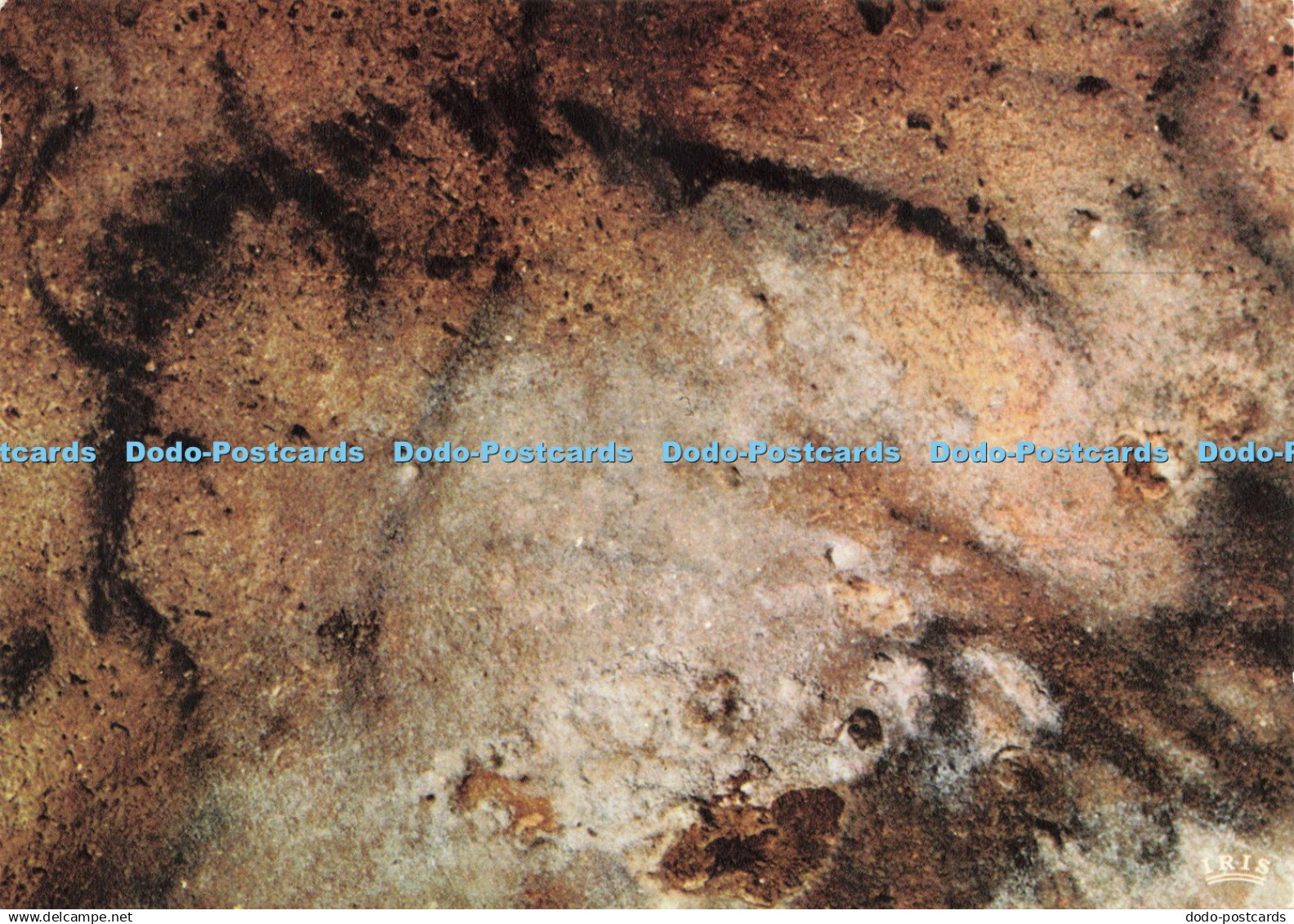 D224445 Les Eyzies Grotte de Font de Gaume Modernes Theojac