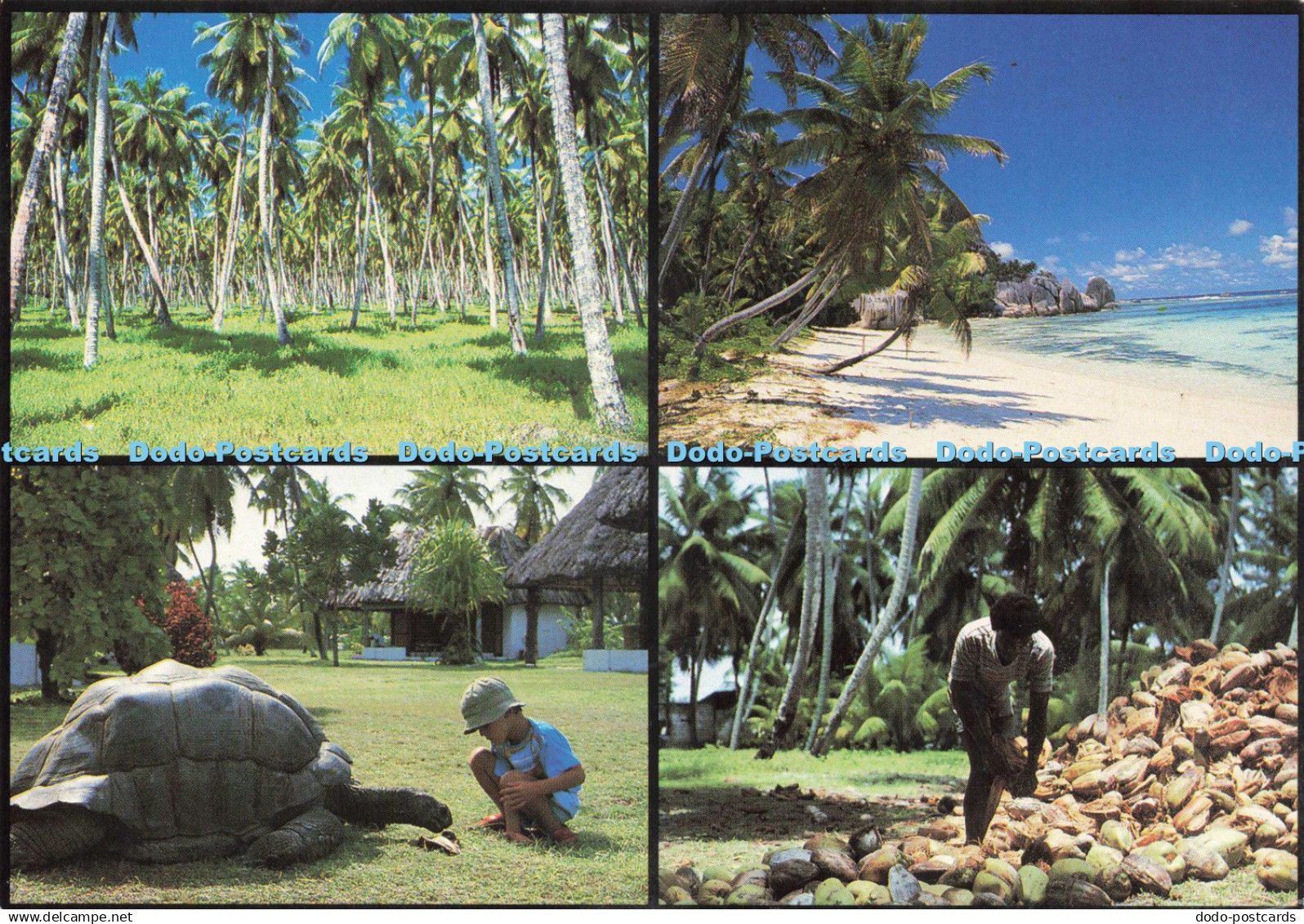 D224920 Seychelles Bird Island Lodge Printec Multi View