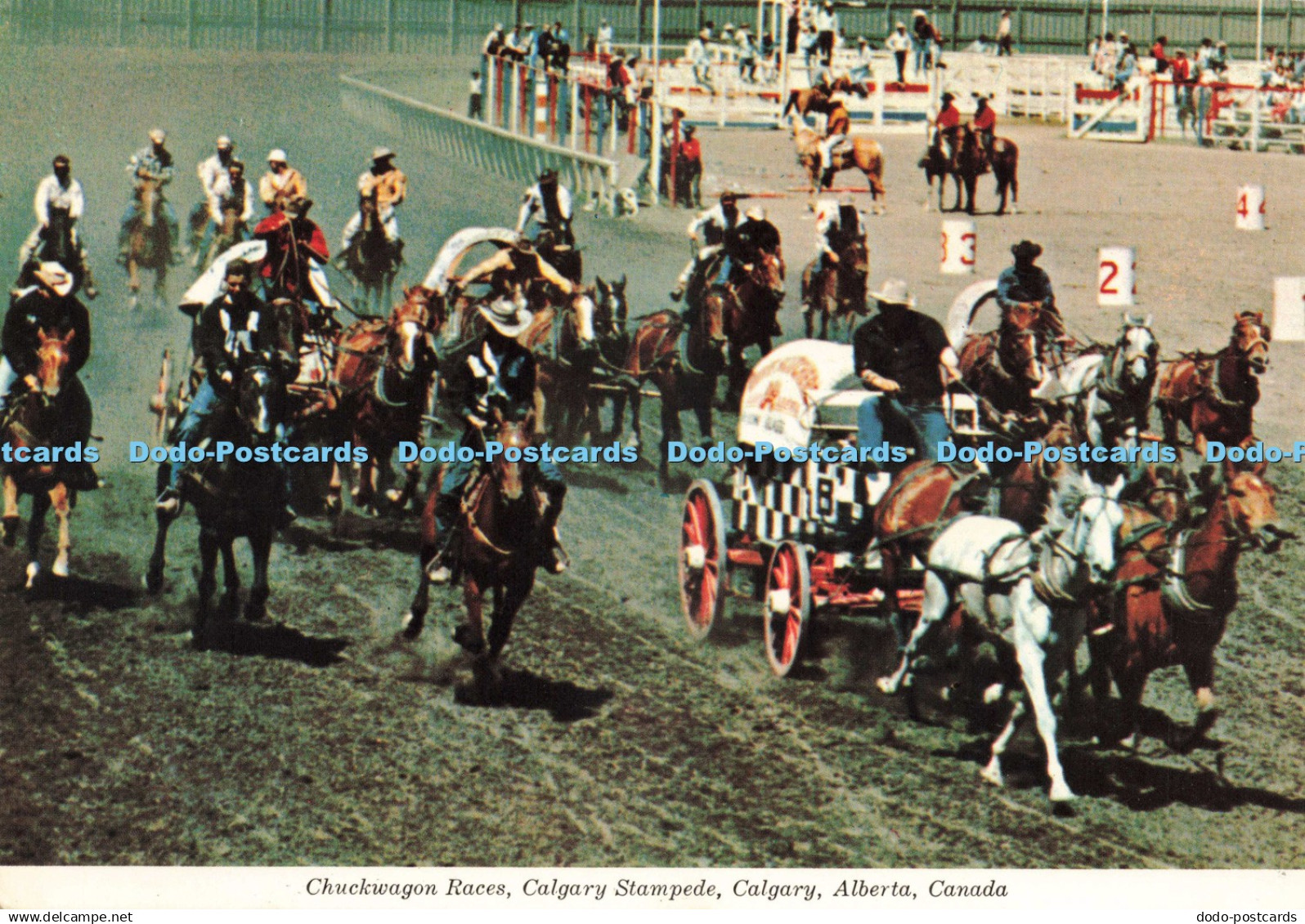 D225204 Canada Alberta Calgary Calgary Stampede Chuckwagon Races United News Ltd