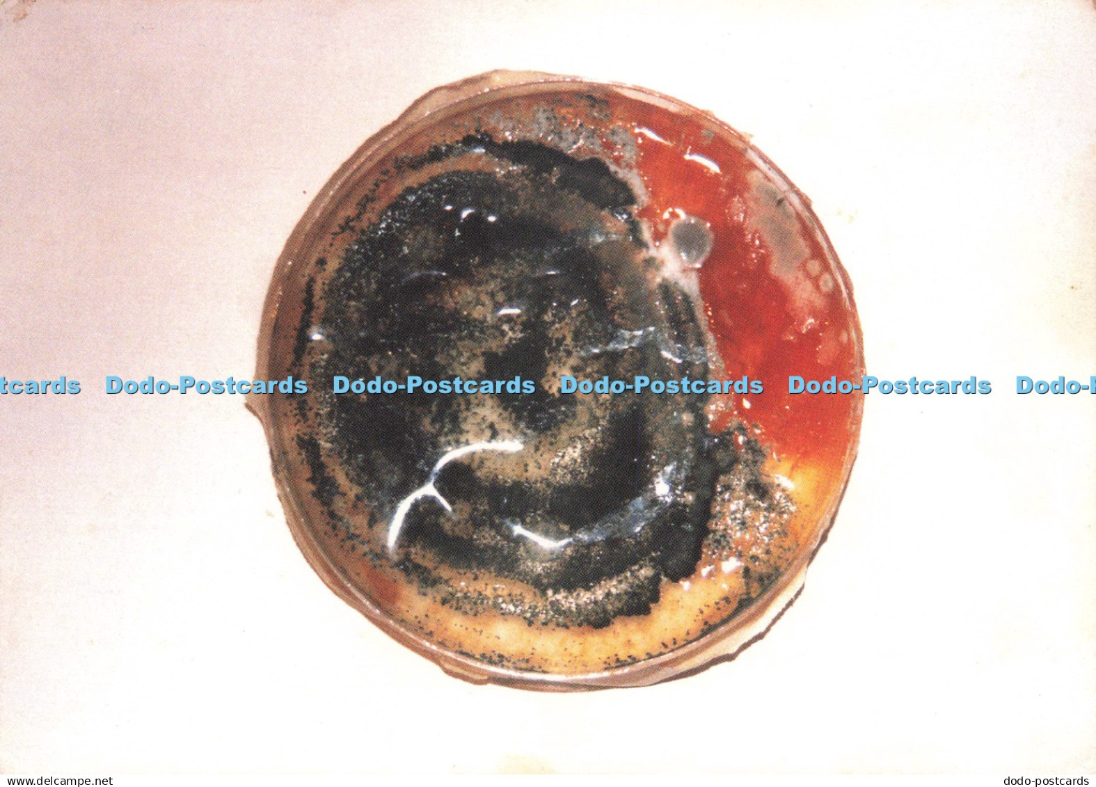 D225431 Tabitha Moore Churchill Cottage