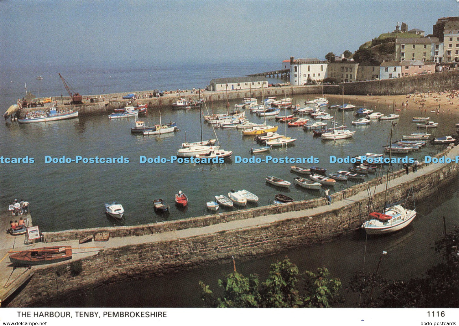 D225995 Pembrokeshire Tenby The Harbour Pembrokeshire Eye Postcards