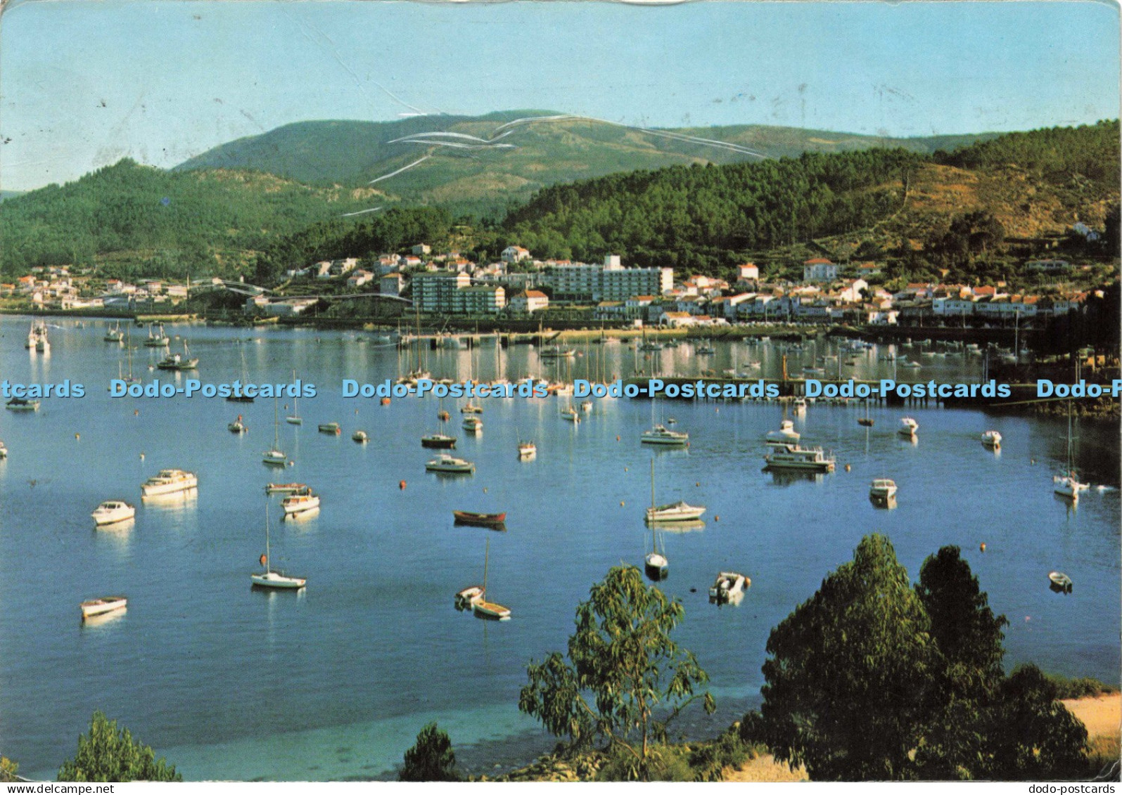 D226689 Bayona la Real Pontevedra Partial View Postales Fama