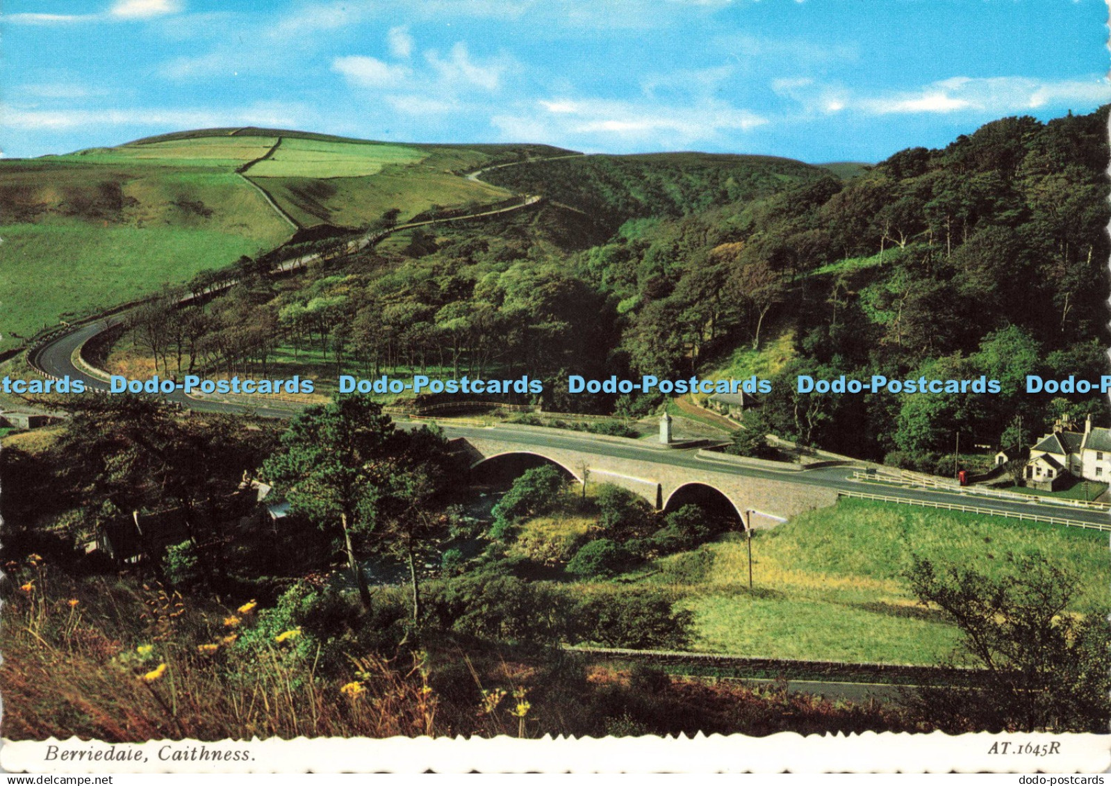 D227569 Caithness Berriedale Valentine