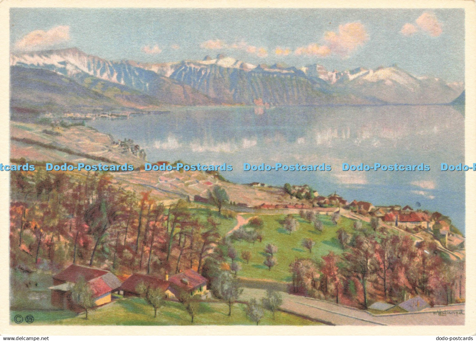 D230349 Rivaz et le Haut Lac Stehli No 2339