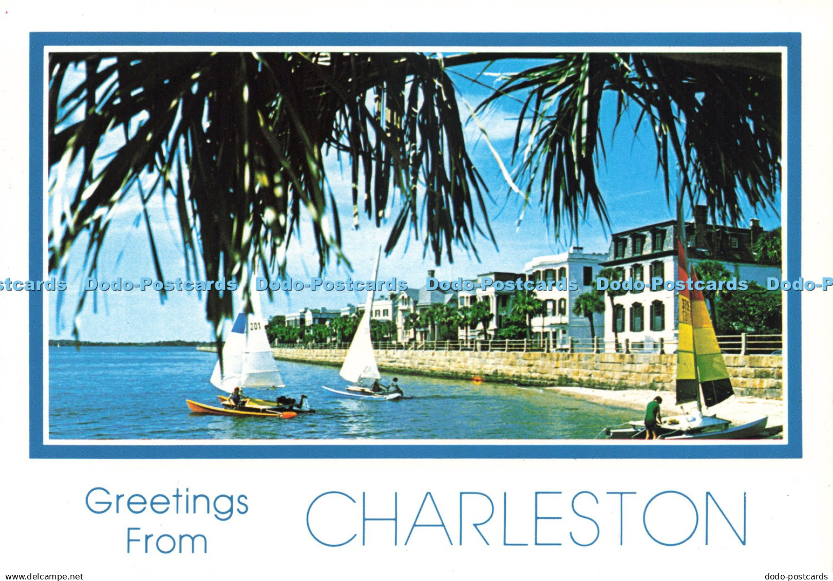D230448 Greetings from Charleston Charleston Post Card Co