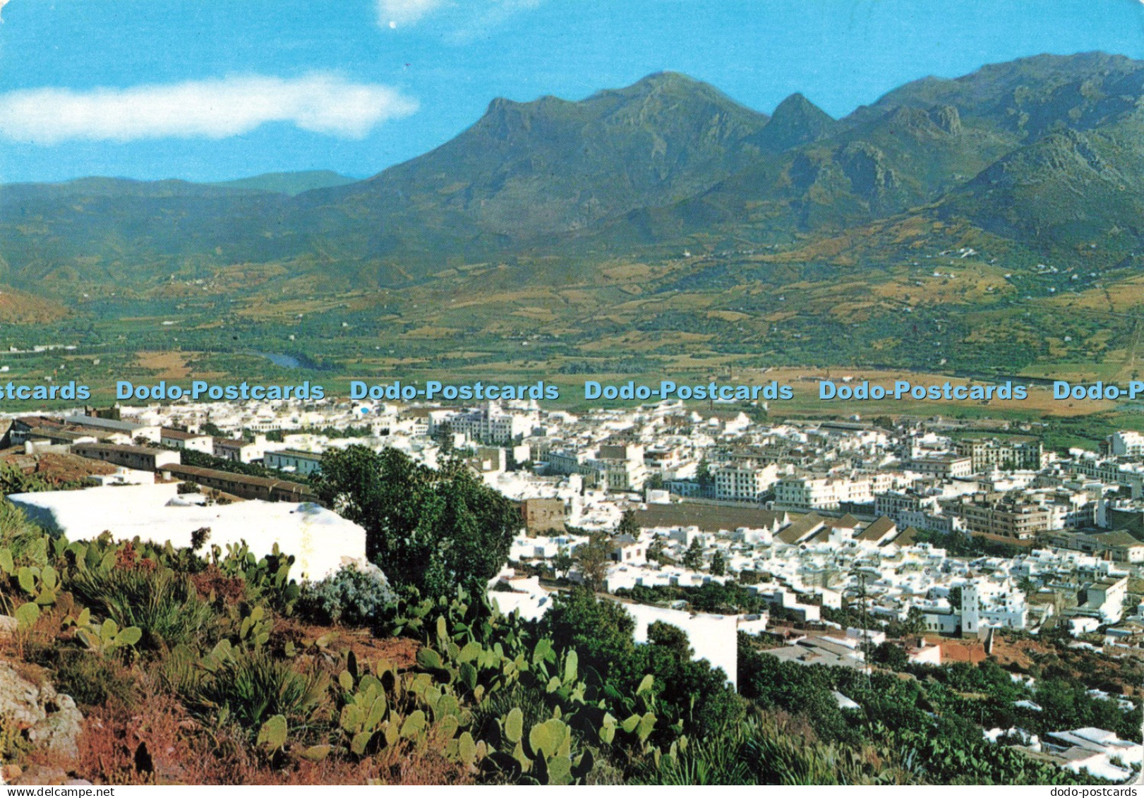 D231263 Tetuan General View Liberia Escolar Beascoa