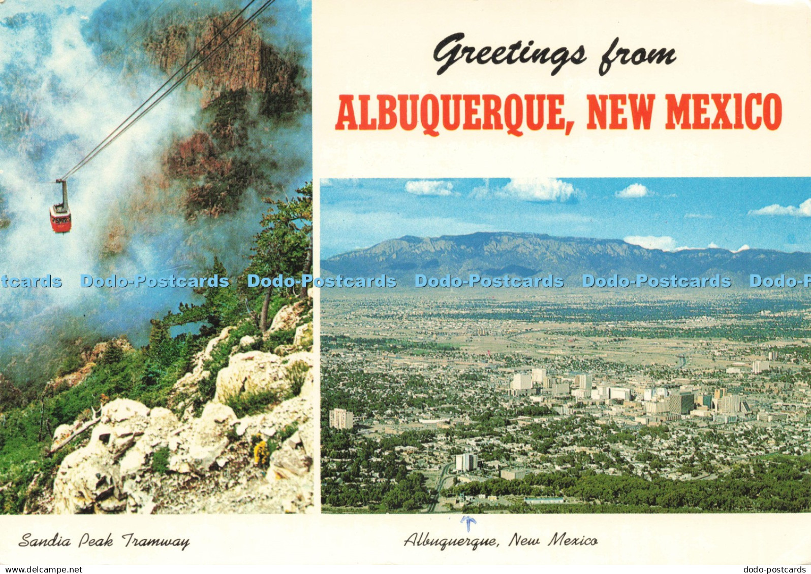 D235567 Greetings From Albuquerque New Mexico Sandia Peak Tramway Petley Southwe