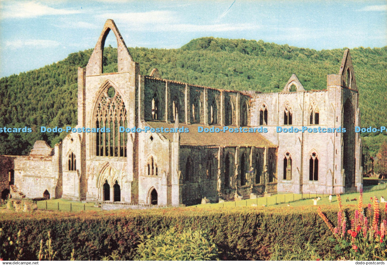 D236376 Monmouthshire Tintern Abbey J Arthur Dixon
