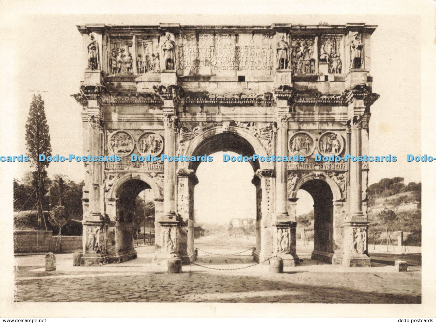 D236802 Constantino Anderson