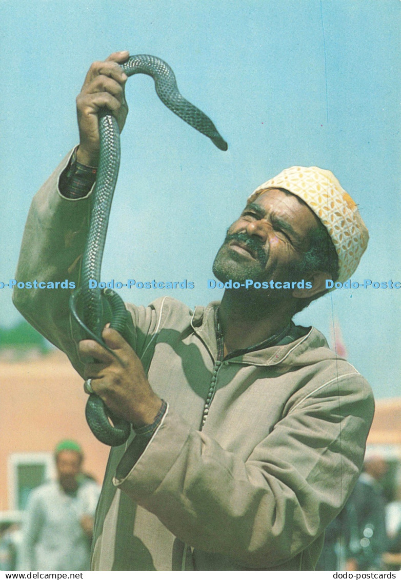 D238000 Marrakech Charmeurs de Serpents Color Marrakech