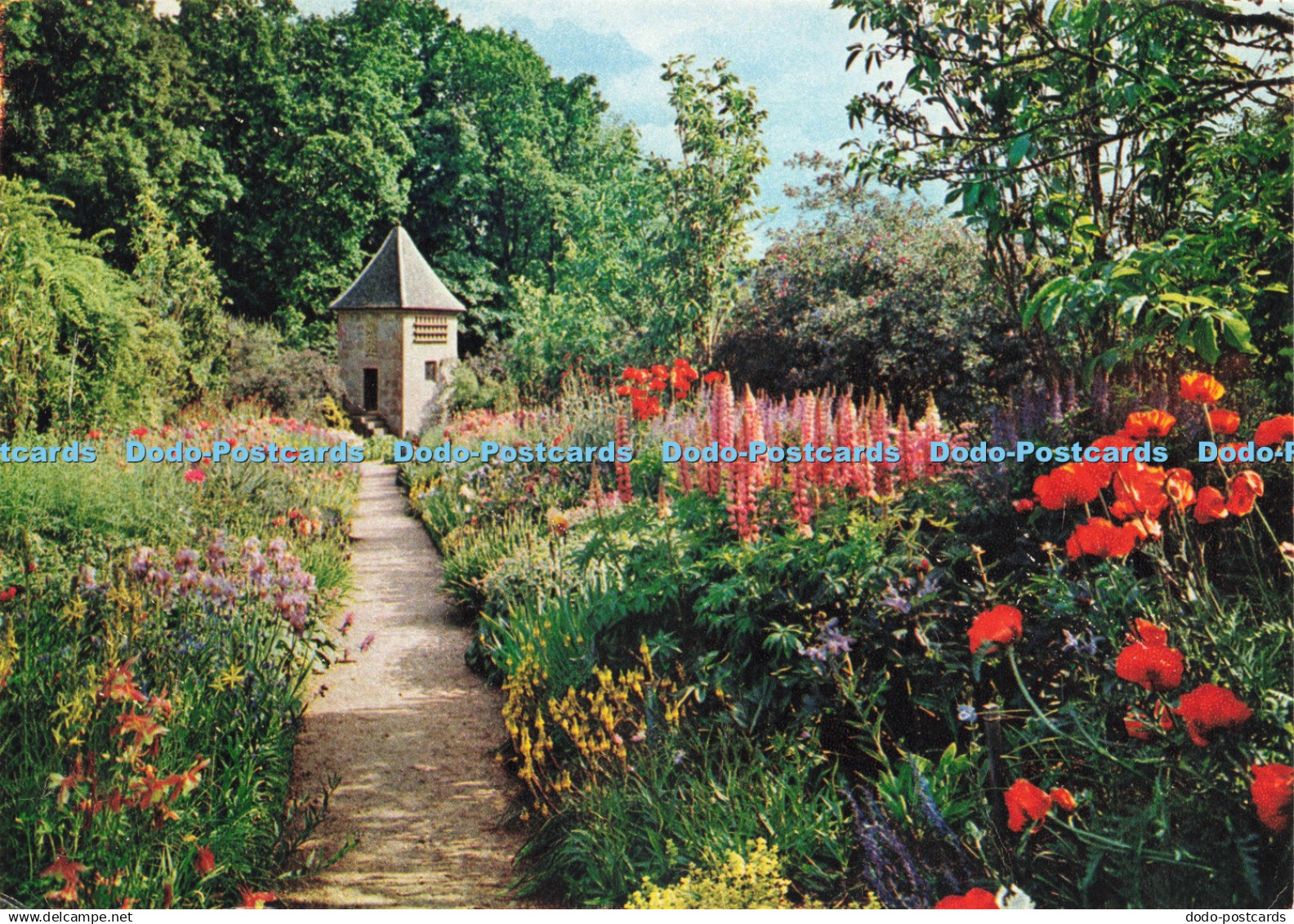 D238180 Kincardineshire Crathes Castle Garden J Arthur Dixon