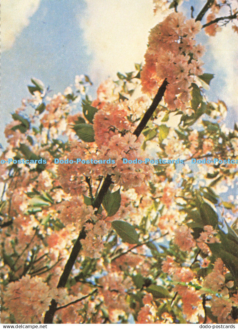 D238412 Fingest Buckinghamshire Federation of Womens Institutes