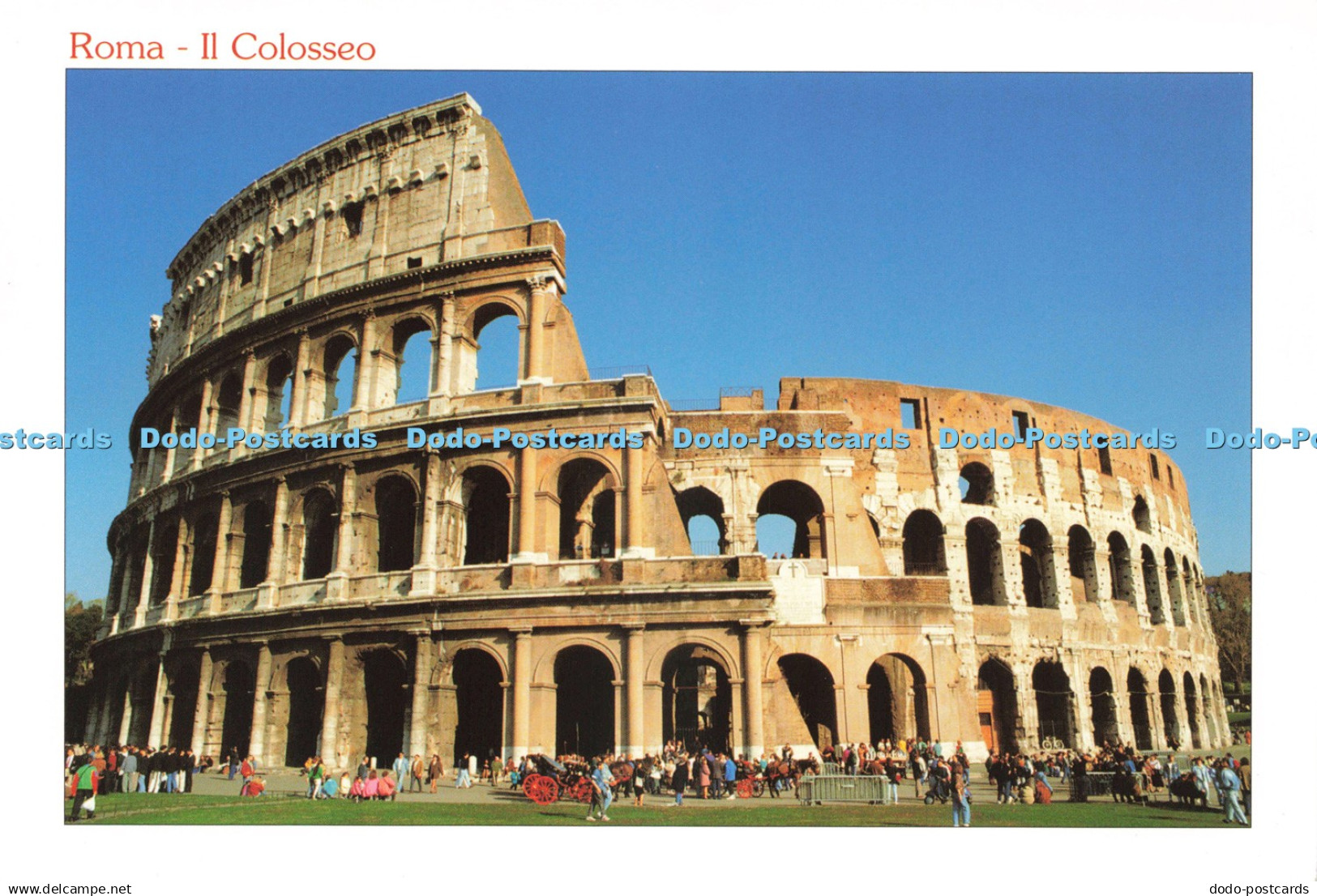 D238563 Roma Il Colosseo