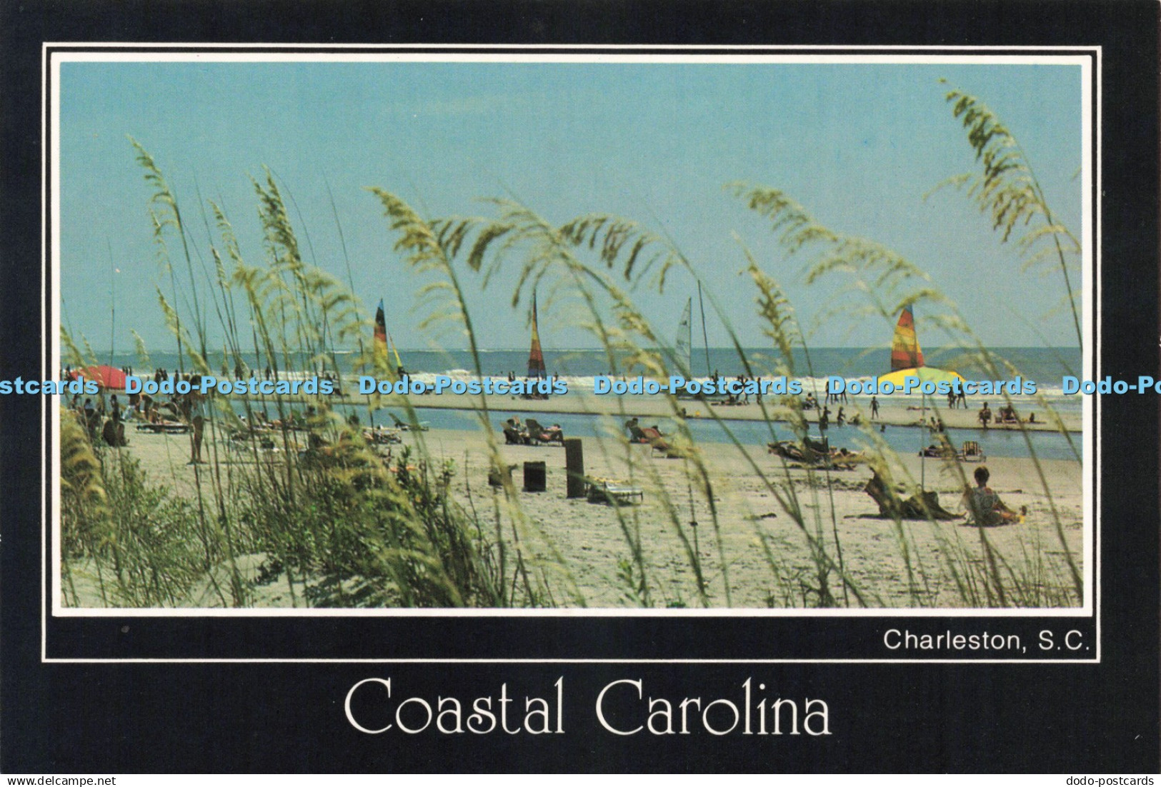 D239179 S C Charleston Coastal Carolina Charleston Post Card Plastichrome Bryan