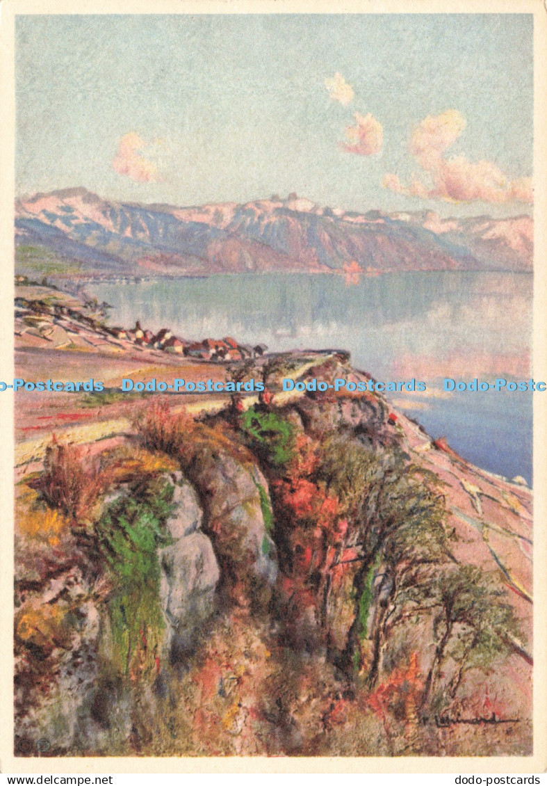 D239413 Rochers e Rivaz Lake Geneve Stehli No 2343