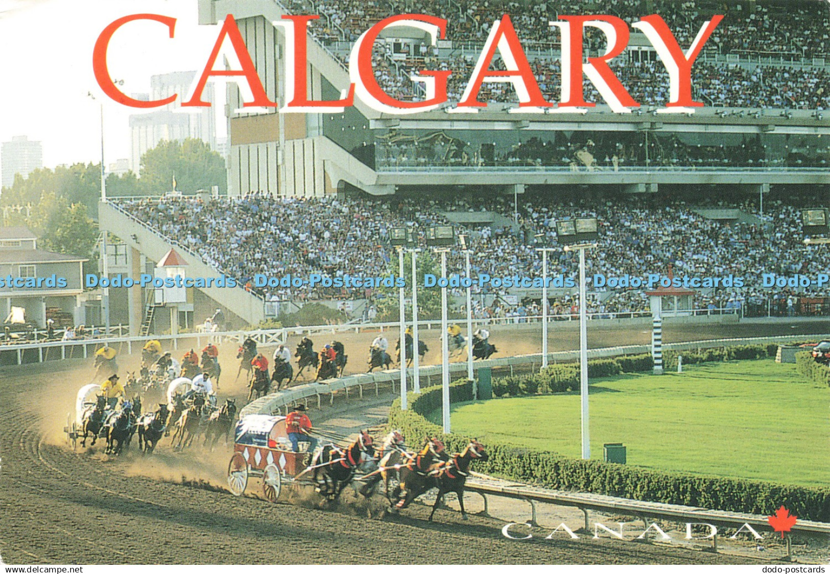 D239793 Calgary Canada Alberta Chuckwagon Races the Calgary Stampede KolorKard L