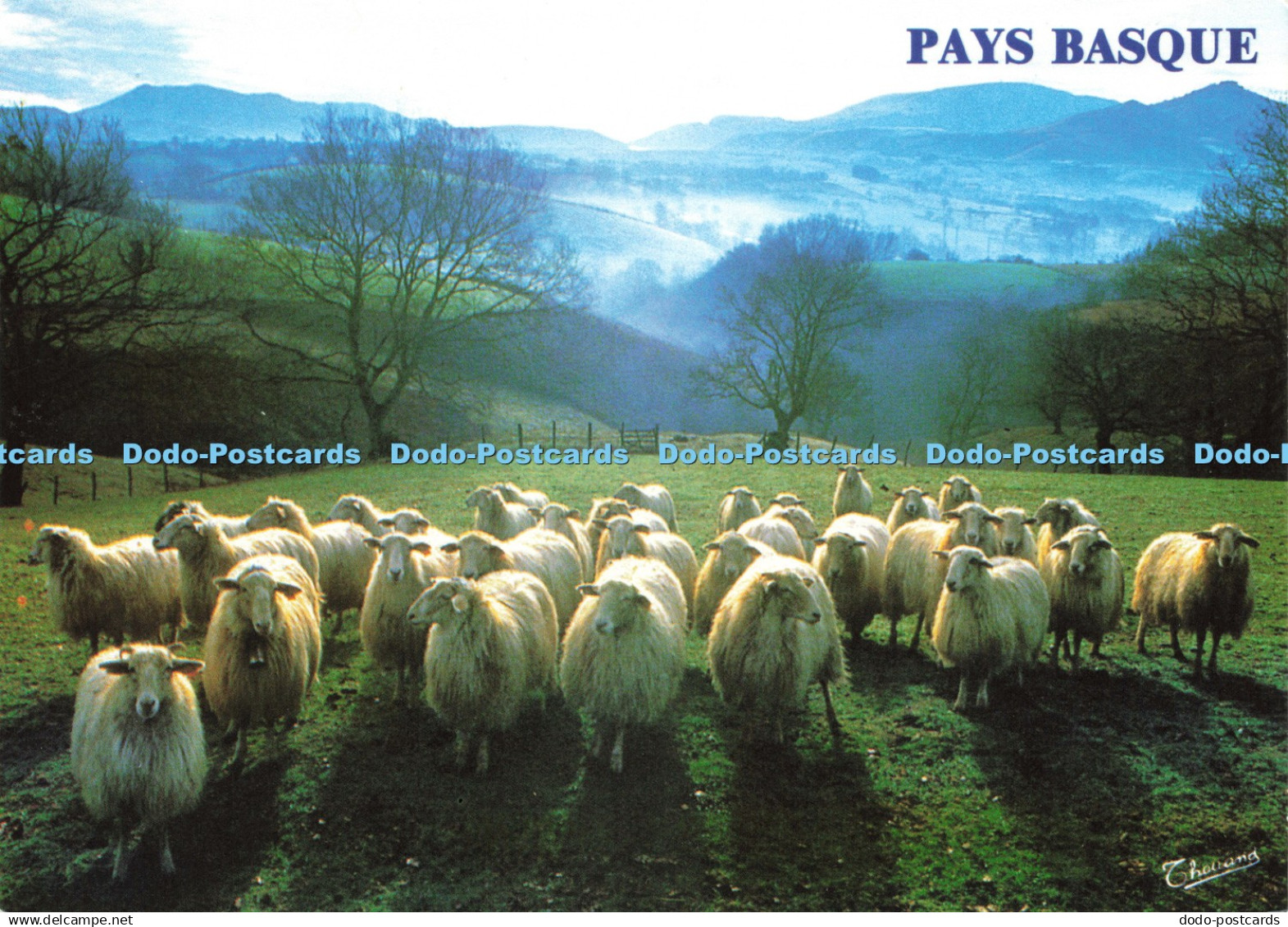 D239802 Pays Basque Environs de Espelette Thouand S A Medrinal