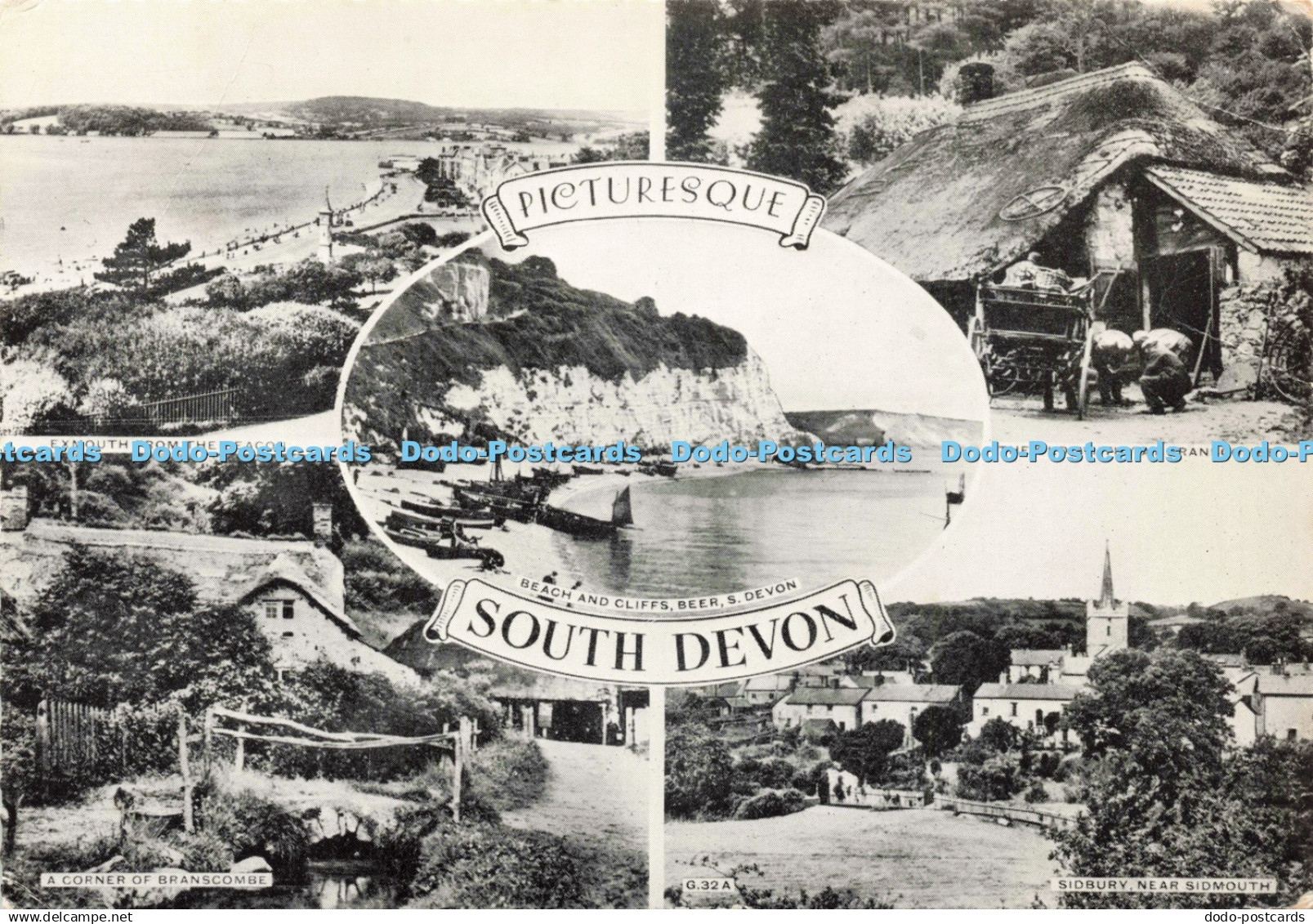 D240282 Picturesque South Devon Beach and Cliffs Beer S Devon Multi View 1962
