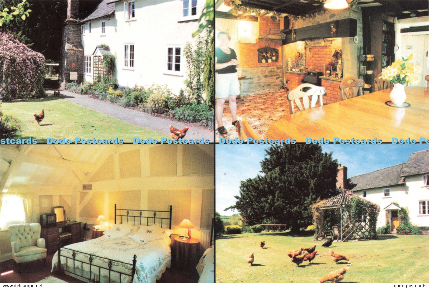 D241008 Herefordshire Pembridge Lowe Farm Juliet Williams