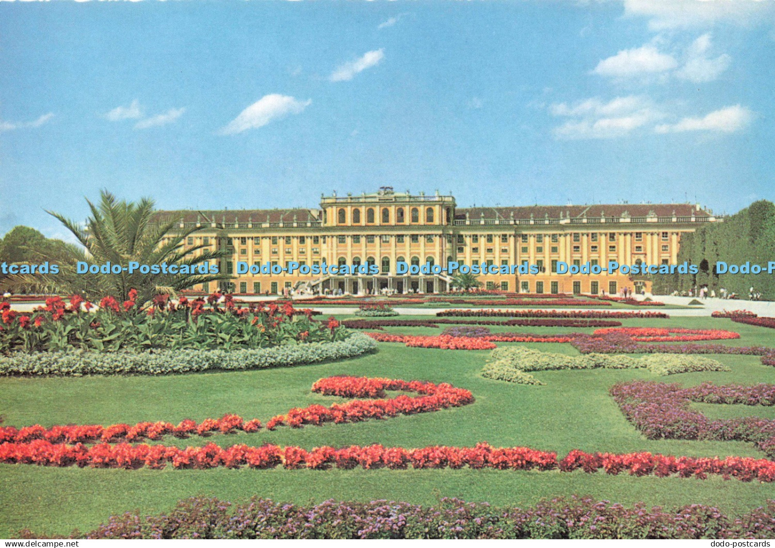 D241145 Wien Schloss Schonbrunn Schloss mit Blumenparterre Jede Art