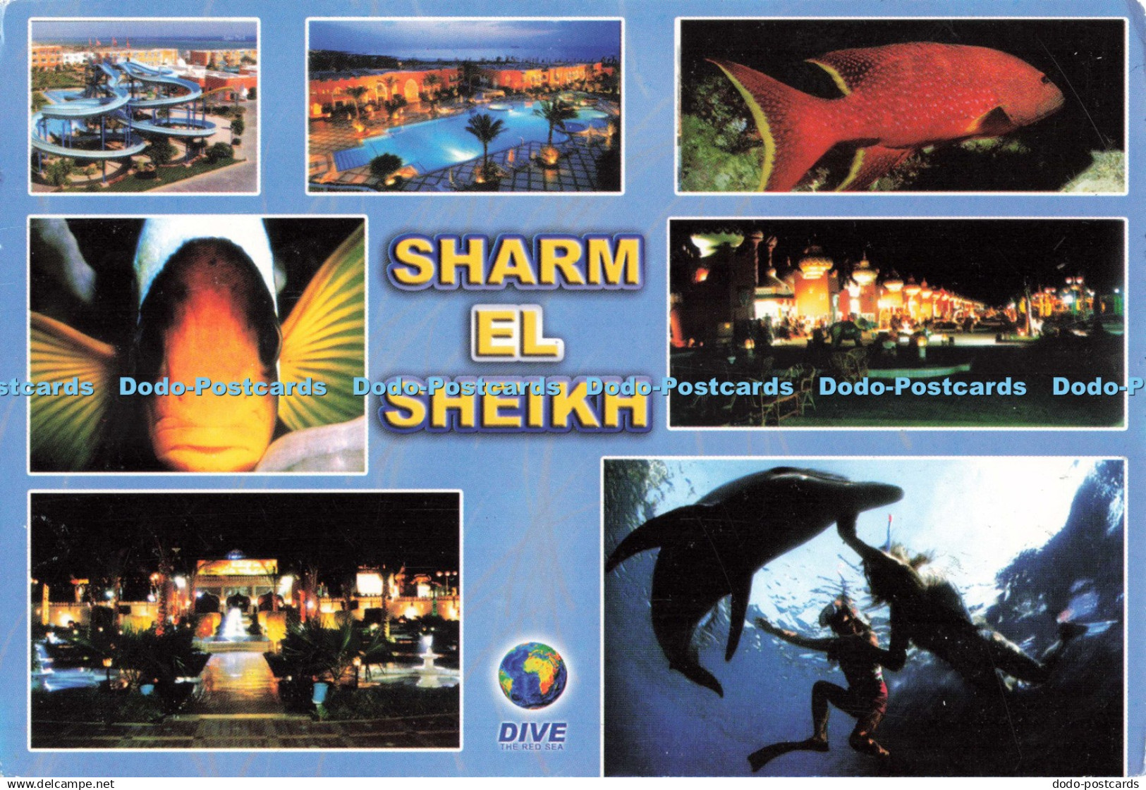 D242151 Sharm el Sheikh Dive the Red Sea Multi View