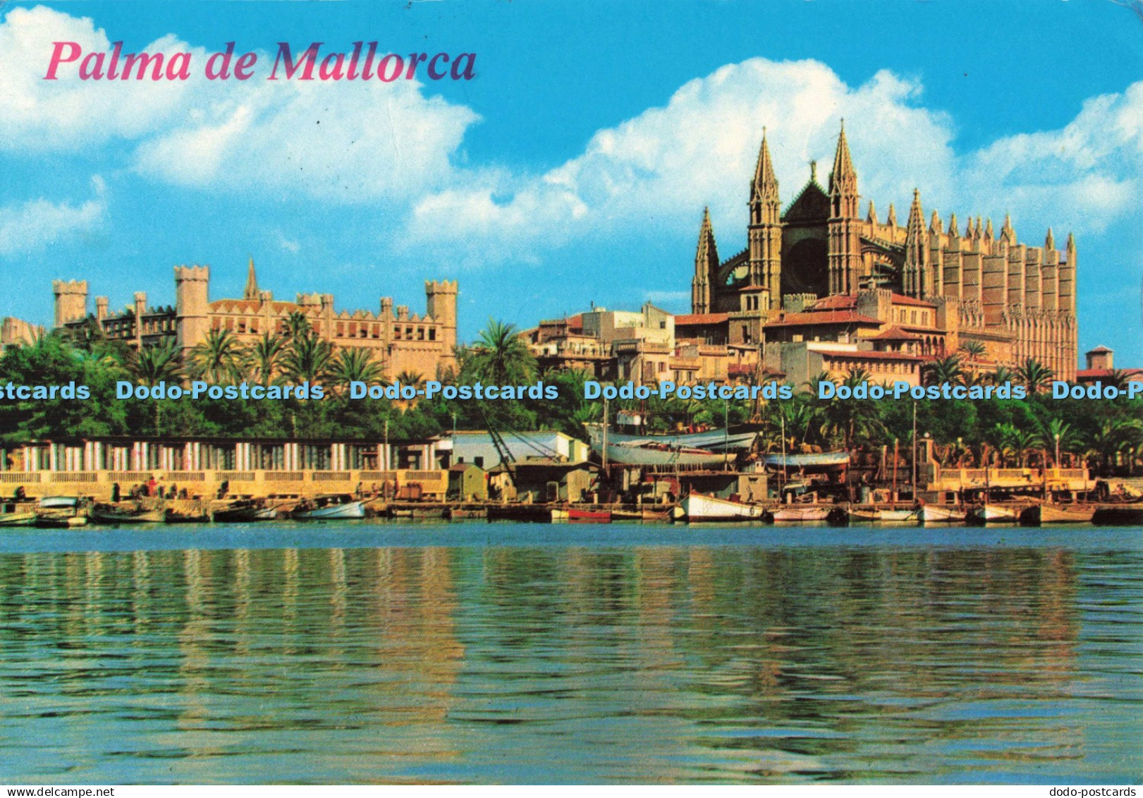 D242535 Palma de Mallorca Palma La Catedral y La Lonja Ediciones Palma Foto Plan