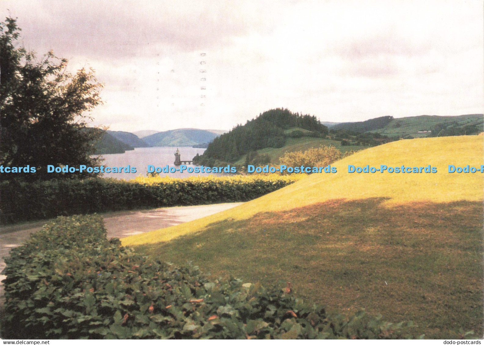 D243510 Montgomeryshire Mid Wales A Country Lover Paradise Powys Printers Ltd 19