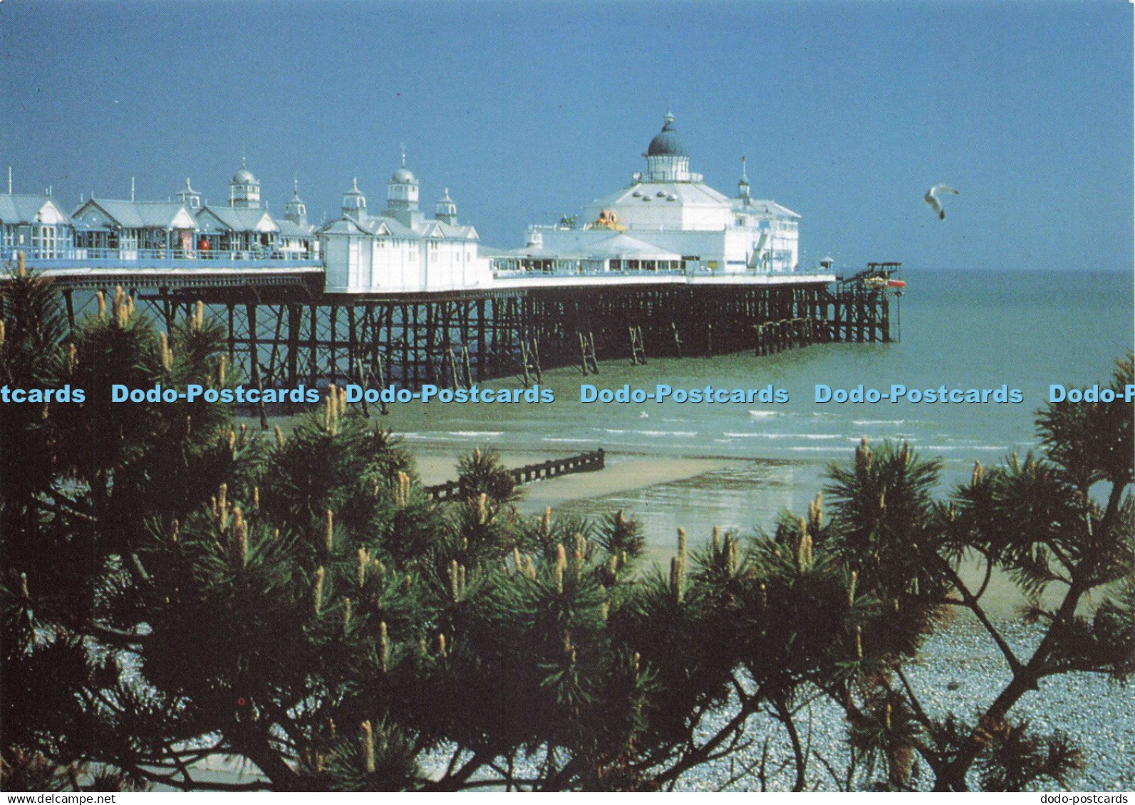 D243783 The Pier at Eastbourne Eastbourne Tourism and Leisure
