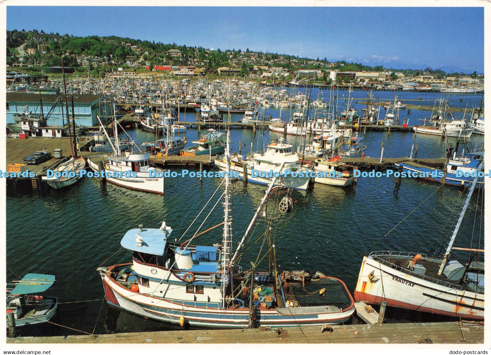 D243987 Washington Seattle Fisherman Wharf Seattle as Viewed from Ballard Bridge