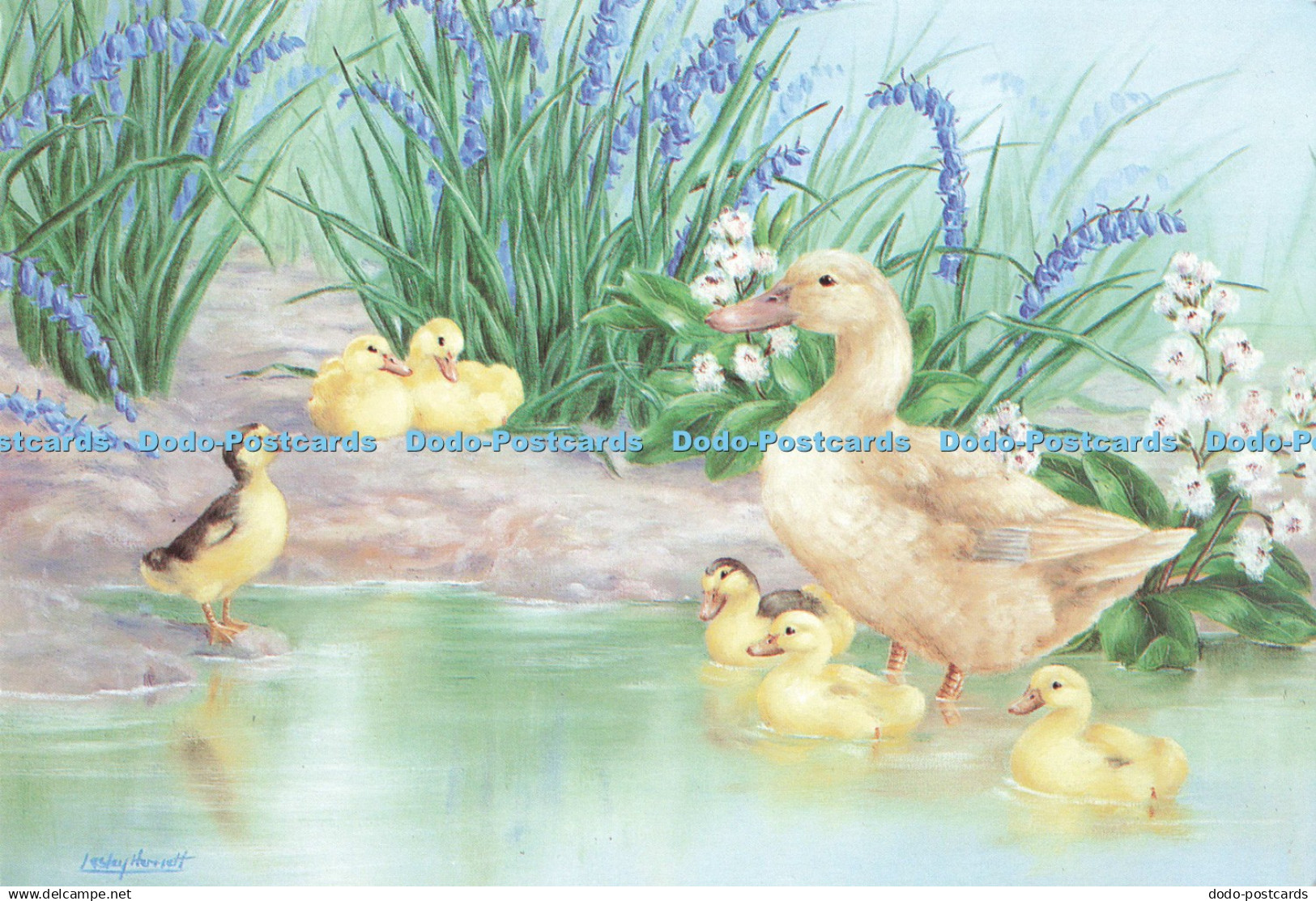 D247098 Duck with Ducklings Clinton Cards NSPCC