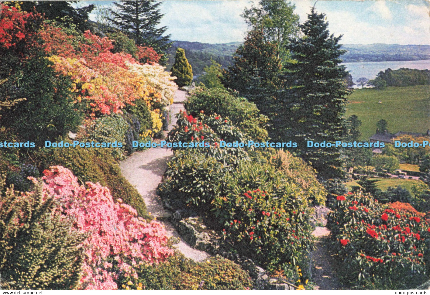 D249259 Windermere Westmorland A Glimpse of Windermere from a Westmorland Rock G