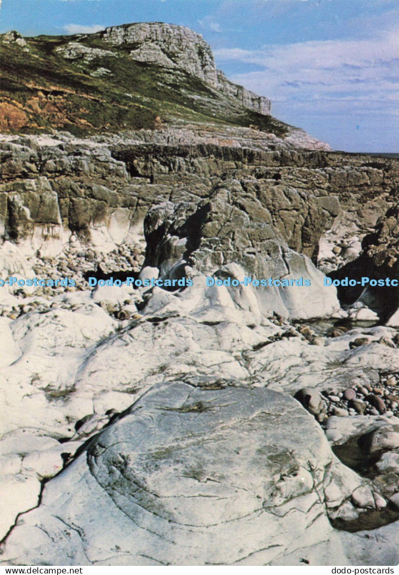 D249493 West Glamorgan Pennard Head Limestone Cliffs of the Gower Peninsula Nati
