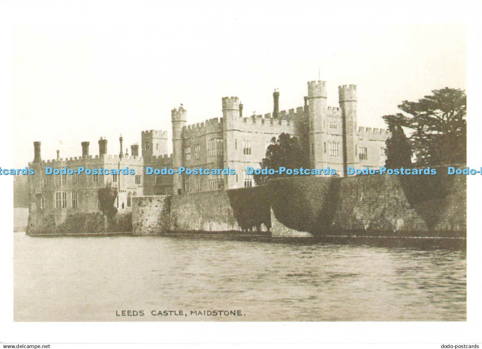 D250615 Maidstone Leeds Castle Circa 1910 Leeds Castle Foundation Judges of Hast