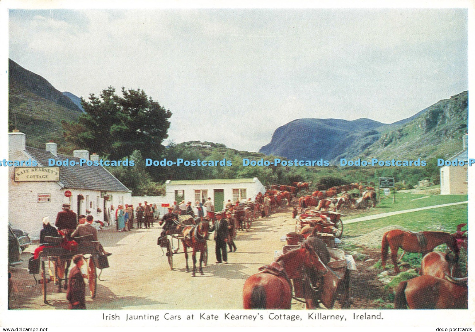 D250885 Ireland Killarney Irish Jaunting Cars at Kate Kearney Cottage Cardall Lt