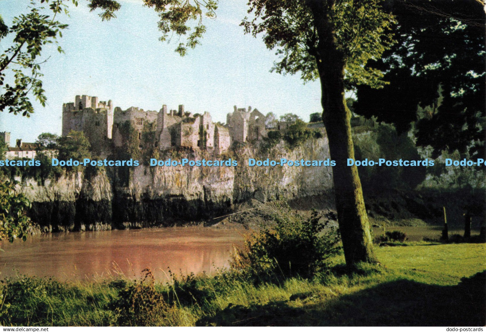 D250904 Monmouthshire Chepstow Castle J Arthur Dixon Ltd 1973