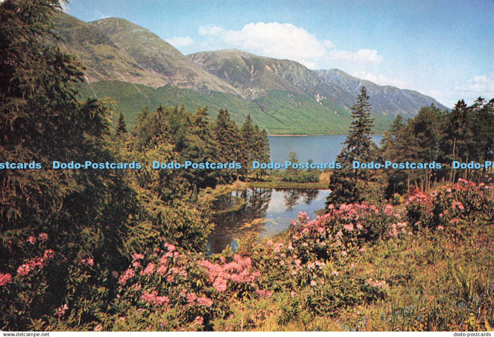 D251081 Inverness shire Loch Lochy J Arthur Dixon Ltd