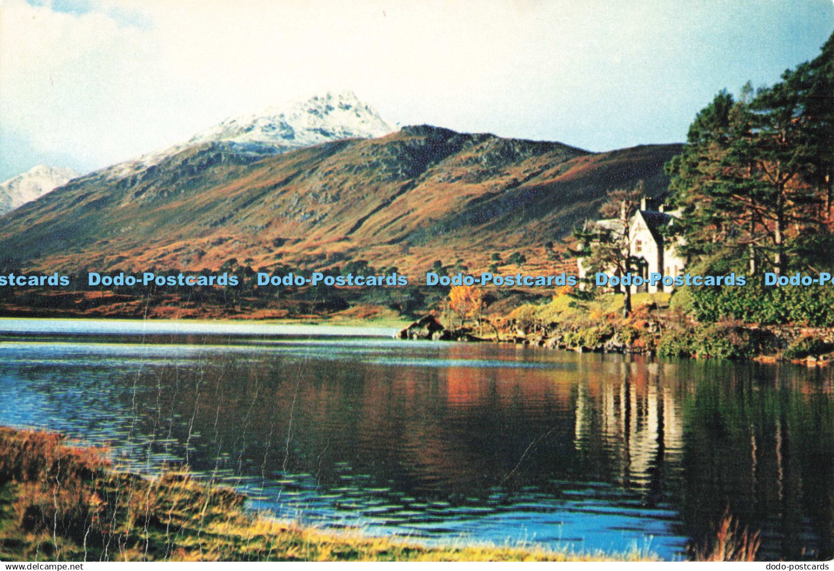 D251392 Inverness shire Glen Affric Loch Affric J Arthur Dixon Ltd